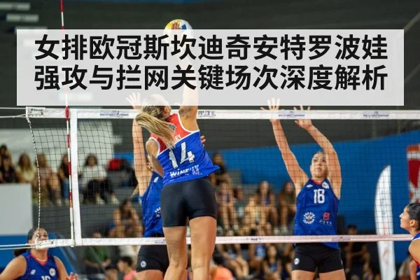 volleyball match